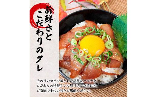 これが魚屋の漬け丼だ！〜ハマチ〜 《訳あり》 ８０ｇ×１０P ハマチ はまち 漬け丼 漬け どんぶり 丼 10パック 海鮮 魚 真空パック 個食 個包装 冷凍 配送 訳あり 規格外 不揃い