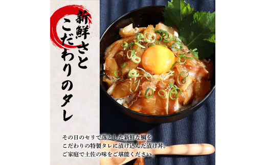 これが魚屋の漬け丼だ！〜鯛〜 《訳あり》 ８０ｇ×１０P タイ 鯛 たい 漬け丼 漬け どんぶり 丼 10パック 海鮮 魚 真空パック 個食 個包装 冷凍 配送 訳あり ワケあり 規格外 不揃い