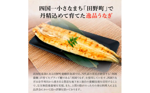 田野町産うなぎの白焼き(大) 2尾×3回 定期便 3ヶ月 定期コース 1尾あたり120〜150g タレ付き 山椒付き うなぎ 鰻 ウナギ 白焼 無頭 おいしい 国産 個包装 お取り寄せ 冷凍 配送