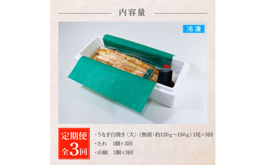 田野町産うなぎの白焼き(大) 1尾×3回 定期便 3ヶ月 定期コース 1尾あたり120〜150g タレ付き 山椒付き うなぎ 鰻 ウナギ 白焼 無頭 おいしい 国産 個包装 お取り寄せ 冷凍 配送