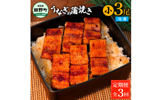 田野町産うなぎの蒲焼き(小) 3尾×3回 定期便 3ヶ月 定期コース 1尾あたり90〜120g タレ付き 山椒付き うなぎ 鰻 ウナギ 蒲焼き かば焼き 無頭 おいしい 国産 お取り寄せ 冷凍 配送