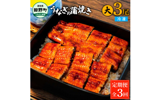 田野町産うなぎの蒲焼き(大) 3尾×3回 定期便 3ヶ月 定期コース 1尾あたり120〜150g タレ付き 山椒付き うなぎ 鰻 ウナギ 蒲焼き かば焼き 無頭 おいしい 国産 お取り寄せ 冷凍 配送