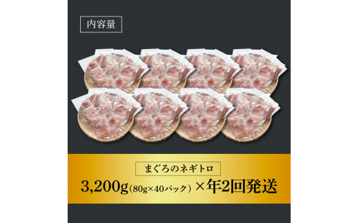 〜四国一小さなまち〜 ≪カネアリ水産≫ まぐろのネギトロ 3,200g（80g×40パック）×年2回配送 ねぎとろ 鮪 マグロ キハダマグロ まぐろたたき 粗挽き 小分け パック 海鮮 魚介 便利