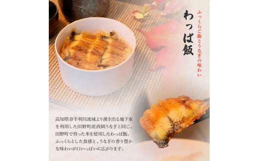 ★四国一小さなまち★田野町産うなぎのわっぱ飯4個セット 鰻 うなぎ ウナギ お弁当 ご飯 ごはん めし わっぱめし 手軽 簡単 レンジ ふっくら 美味しい グルメ 和食 お取り寄せ