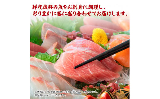〜四国一小さなまち〜 土佐のお刺身盛り合わせ 4〜5人前程度 朝獲れ 旬 さしみ 調理済み 鮮魚 魚 魚介 海鮮 海の幸 さかな 鮮度 おまかせ お任せ お取り寄せ