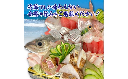 〜四国一小さなまち〜 土佐のお刺身盛り合わせ 4〜5人前程度 朝獲れ 旬 さしみ 調理済み 鮮魚 魚 魚介 海鮮 海の幸 さかな 鮮度 おまかせ お任せ お取り寄せ