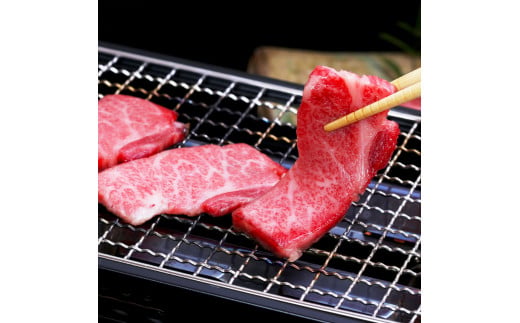 〜四国一小さなまち〜 ロース焼肉用500g（500g×1パック）500グラム ロース 焼き肉 やきにく 牛 牛肉 肉 お肉 赤身 和牛 土佐和牛 土佐黒牛 国産 おいしい 豪華 贅沢 お取り寄せ