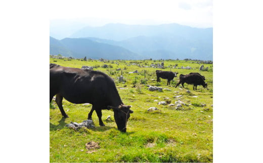 ãååœäžå°ããªãŸã¡ã ããçŒãçš500gïŒ500gÃ1ããã¯ïŒ500ã°ã©ã ç çè è ãè 赀身 åç åäœåç åäœé»ç åœç£ ãããã ãããã ã¹ã©ã€ã¹ ãåãå¯ã