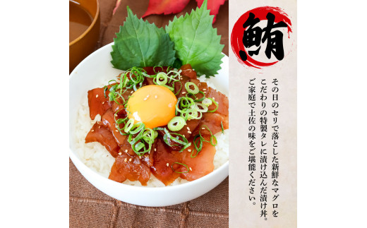 〜四国一小さなまち〜 訳あり 鯛の漬け丼＆マグロの漬け丼 各10P 計20P タイ たい まぐろ 鮪 海鮮丼 漬け丼 魚 魚介 海鮮丼 海鮮 惣菜 おかず 真空パック 個包装 小分け 訳アリ