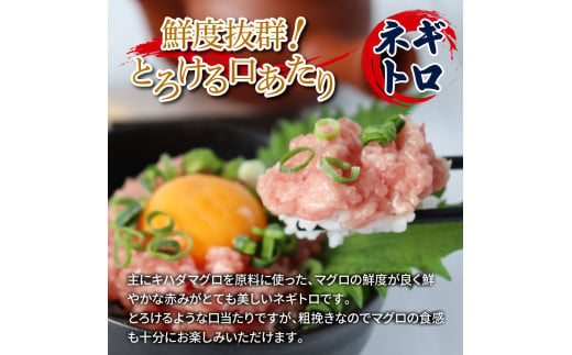 〜四国一小さなまち〜 訳あり 鯛の漬け丼＆マグロのネギトロ 各5P 計10P タイ たい まぐろ 鮪 海鮮丼 ねぎとろ まぐろたたき 粗挽き ねぎとろ丼 ネギトロ丼 魚介 惣菜 おかず 訳アリ