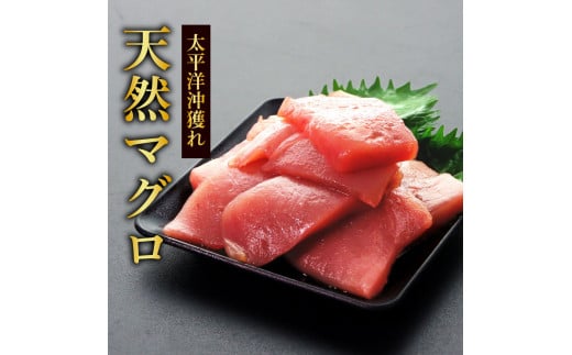 〜四国一小さなまち〜 天然マグロ切り落とし1kg×ぶり切り落とし900g まぐろ 鮪 ブリ 鰤 スライス 刺身 刺し身 さしみ ぶりしゃぶ 照り焼き 魚介 海鮮 海鮮丼 おかず 惣菜