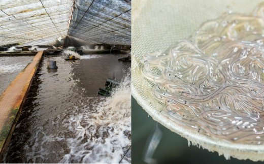 逕ー驥守伴逕」縺縺ェ縺弱ョ縺イ縺、縺セ縺カ縺暦シ2繝代ャ繧ッシ