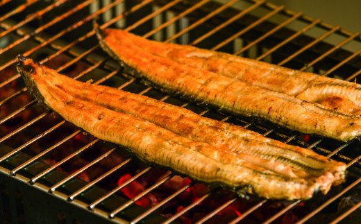 田野町産うなぎの蒲焼き（大）5本　タレ付き 山椒付き うなぎ 鰻 ウナギ 蒲焼き かば焼き 無頭 おいしい 国産 お取り寄せ 冷凍 配送