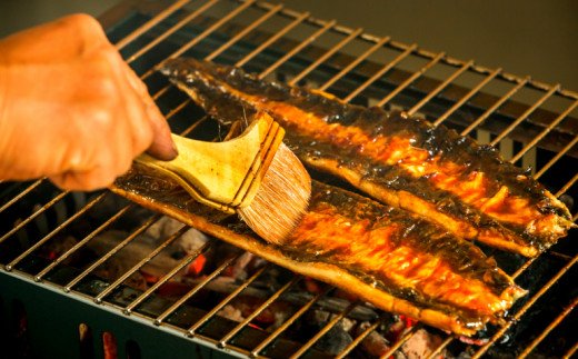 田野町産うなぎの蒲焼き（大）5本　タレ付き 山椒付き うなぎ 鰻 ウナギ 蒲焼き かば焼き 無頭 おいしい 国産 お取り寄せ 冷凍 配送
