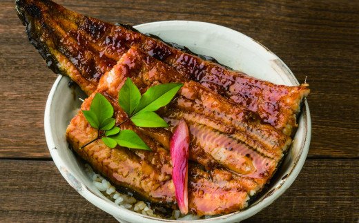 田野町産うなぎの蒲焼き（大）5本　タレ付き 山椒付き うなぎ 鰻 ウナギ 蒲焼き かば焼き 無頭 おいしい 国産 お取り寄せ 冷凍 配送