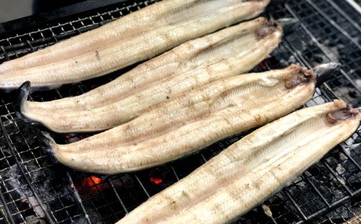 ヤマシン特選うなぎ蒲焼き2本定期便　計3回お届け