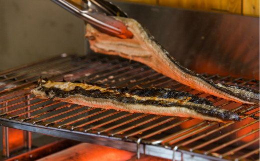 田野町産うなぎのひつまぶし（10パック）