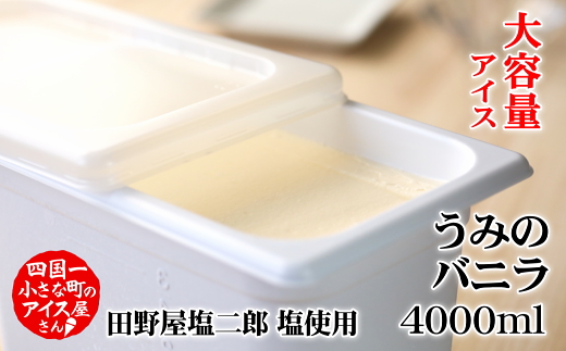 【四国一小さなまちのアイス屋さん】≪松崎冷菓≫大容量アイス 4000ml ★うみのバニラ★ 4l アイスミルク スイーツ デザート 天日塩 おすすめ 美味しい 高知県 田野町 