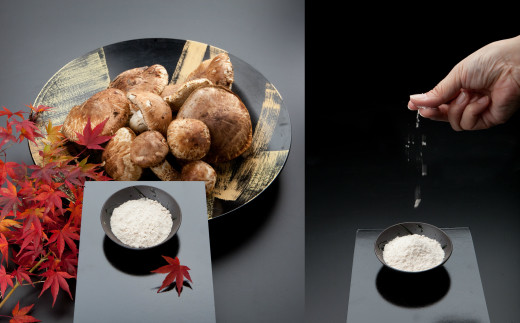 ãååœäžå°ããªãŸã¡ã âªæ°ééå®â« ç°éå±å¡©äºéã®æŸèžå¡© ãè³éŠã ïŒïŒïœ