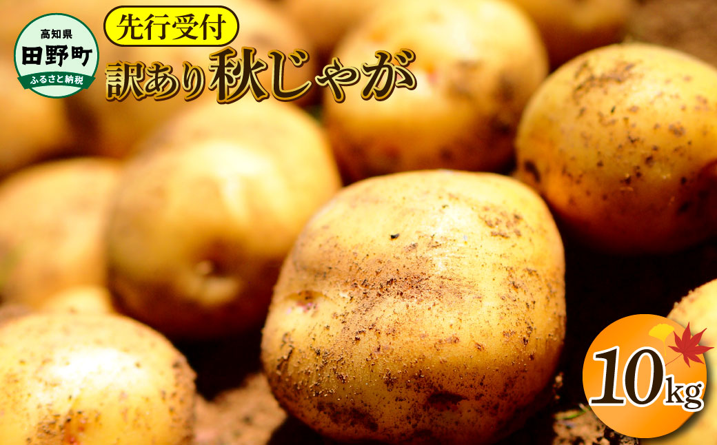 【四国一小さなまちのじゃがいも】★令和8年11月下旬発送開始★ 大野台地で採れた『 令和8年産 秋じゃが 』 10kg　～ 訳あり ～