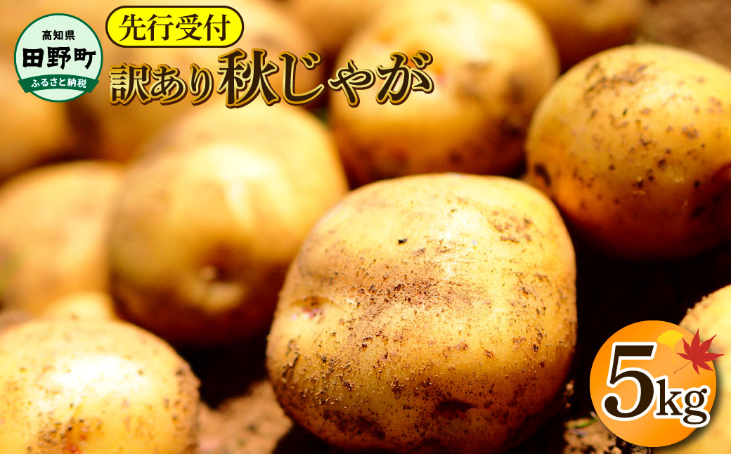 【四国一小さなまちのじゃがいも】★令和7年11月中旬発送開始★ 大野台地で採れた『 令和7年産 秋じゃが 』 5kg　～ 訳あり ～