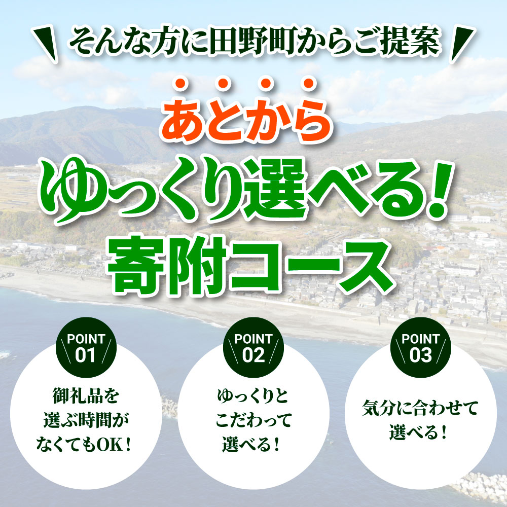 返礼品は後からゆっくり選べる寄附コース★D★ あとから選べる おすすめ 人気 カツオ カツオのたたき うなぎ 鰻 肉 酒 塩 魚 魚介 カタログ 500000円
