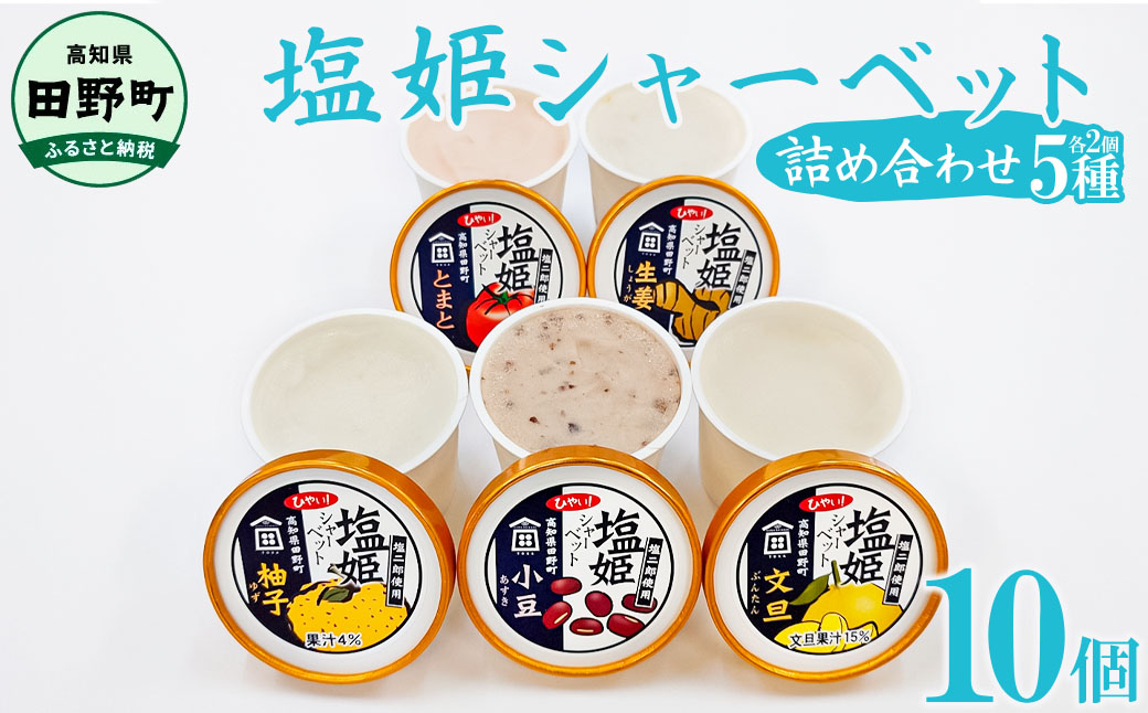 塩姫シャーベット ５種詰め合わせセット 100ml×10個 柚子 文旦 トマト 生姜 小豆 ミネラル 田野屋塩二郎 天日塩 アイス あいす シャーベット 冷凍