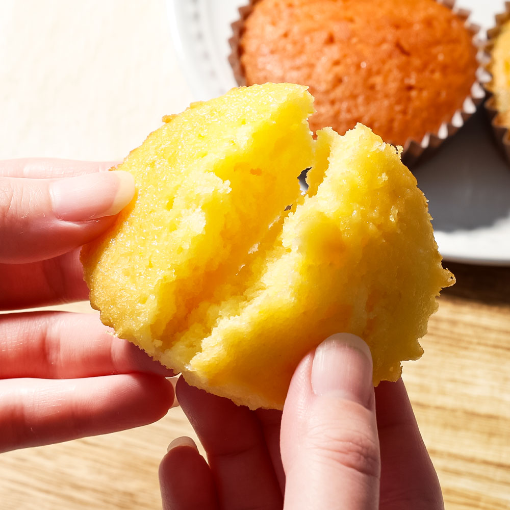 まどれぇぬ マドレーヌ 12個入り(6種×各2個) 田野屋塩二郎の天日塩使用 取り寄せ スイーツ デザート 完全天日塩 おやつ お菓子 洋菓子 焼き菓子 プレゼント 個包装 お取り寄せスイーツ 配送 高知 返礼品