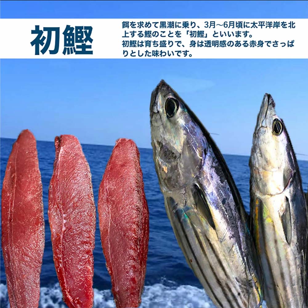 ★数量限定★≪ヤマシン≫ 初鰹のわら焼きタタキ 1節 ※新にんにく1玉付き※ 本場 高知 たたき タタキ かつお 鰹 カツオ タレ付 魚 海鮮 わら焼き 冷蔵 ニンニク にんにく 自慢 人気 送料無料 高知県 田野町 10000円