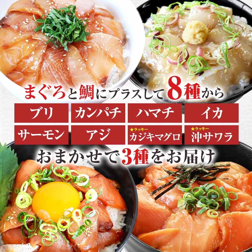 これが魚屋の漬け丼だ！魚屋のおまかせ5種漬け丼セット(マグロ＋鯛＋おまかせ3種) 5種×3P 合計15パック 各80g 鮪 鯛 詰め合わせ 漬け丼 漬け どんぶり 丼 15パック 海鮮 魚 真空パック 個食 個包装 冷凍