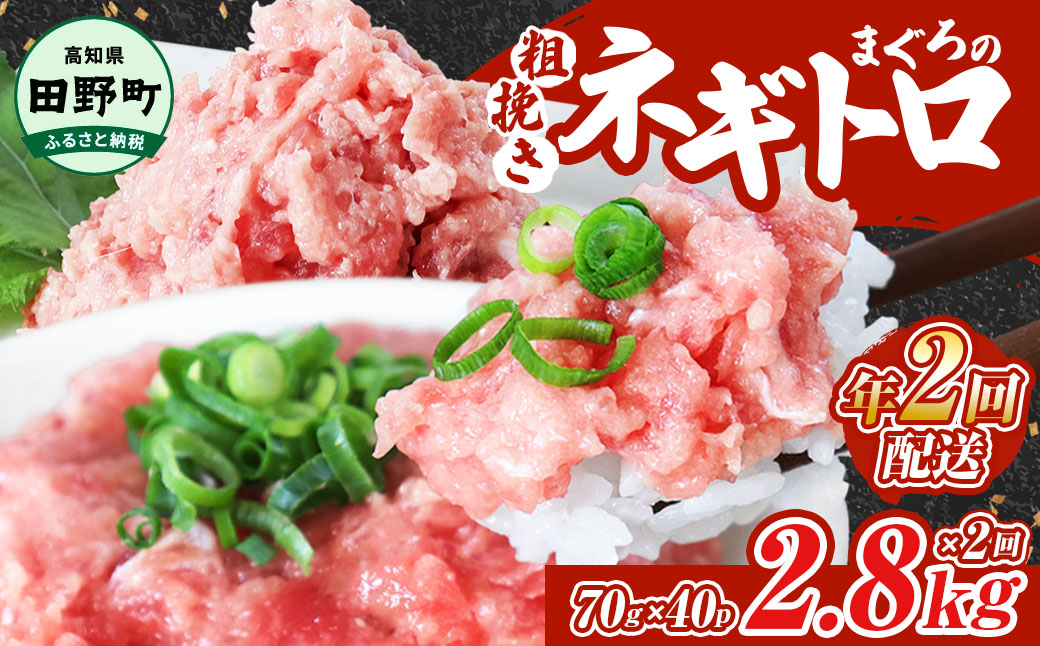 ～四国一小さなまち～ ≪カネアリ水産≫ まぐろのネギトロ 2,800g（70g×40パック）×年2回配送 ねぎとろ 鮪 マグロ キハダマグロ まぐろたたき 粗挽き 小分け パック 海鮮 魚介 便利