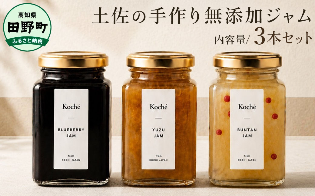 土佐の手作り無添加ジャム 3種セット ブルーベリー ゆず 文旦 各140g 果物 フルーツ 無添加 朝食 食パン トースト ヨーグルト スイーツ トッピング 柚子 ユズ ぶんたん プレゼント 常温配送 高知 田野町