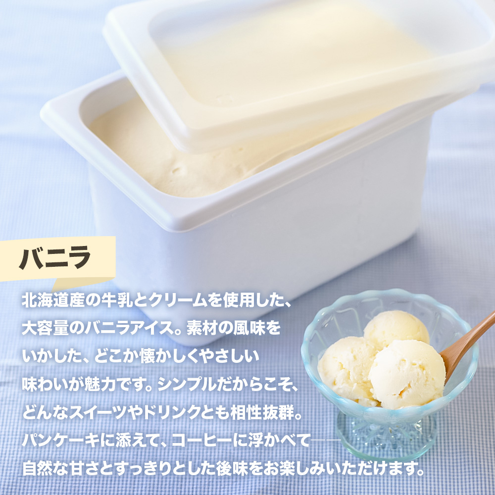 【四国一小さなまちのアイス屋さん】バニラ アイスクリーム 大容量 アイス 4000ml 4L 業務用 4リットル デザート スイーツ お菓子 アイス ミルク 大容量 いっぱい 松崎冷菓 取り寄せ お取り寄せ