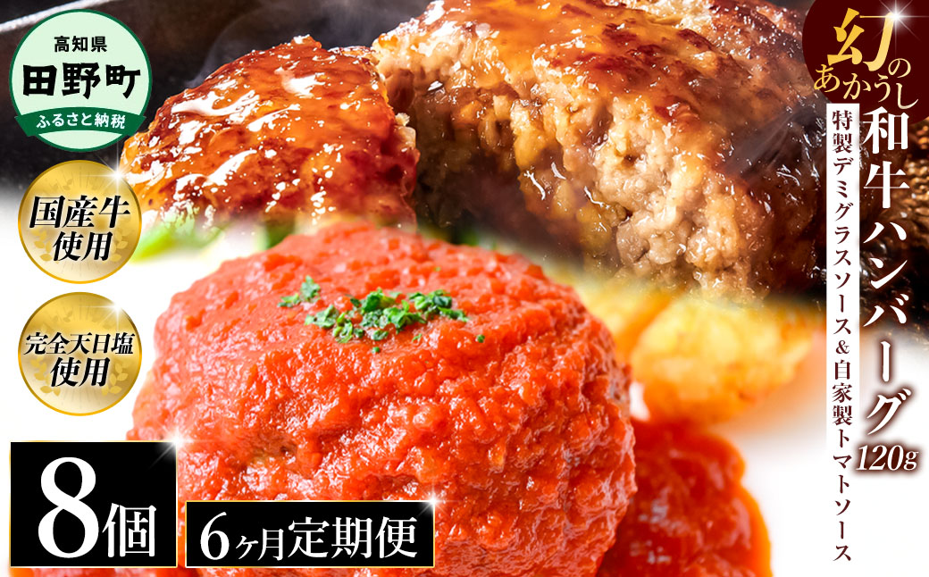 幻のあかうし和牛ハンバーグ 8個入り 6ヶ月定期便 1個120g 特製デミソース トマトソース付き 田野屋青蜂 白鯆 完全天日塩練り込み 肉 お肉 国産牛 おかず おいしい お取り寄せ 冷凍 配送 高知県 田野町