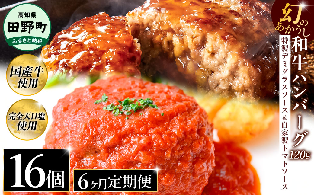 幻のあかうし和牛ハンバーグ 16個入り 6ヶ月定期便 1個120g 特製デミソース トマトソース付き 田野屋青蜂 白鯆 完全天日塩練り込み 肉 お肉 国産牛 おかず おいしい お取り寄せ 冷凍 配送 高知県 田野町