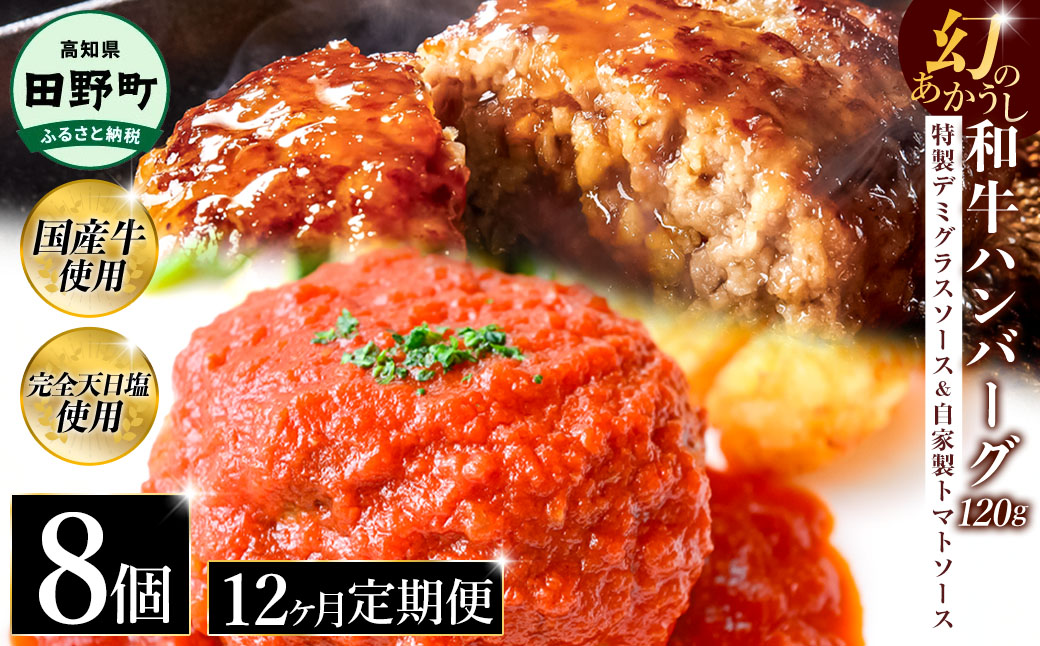 幻のあかうし和牛ハンバーグ 8個入り 12ヶ月定期便 1個120g 特製デミソース トマトソース付き 田野屋青蜂 白鯆 完全天日塩練り込み 肉 お肉 国産牛 おかず おいしい お取り寄せ 冷凍 配送 高知県 田野町