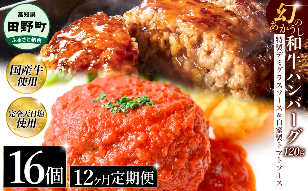幻のあかうし和牛ハンバーグ 16個入り 12ヶ月定期便 1個120g 特製デミソース トマトソース付き 田野屋青蜂 白鯆 完全天日塩練り込み 肉 お肉 国産牛 おかず おいしい お取り寄せ 冷凍 配送 高知県 田野町