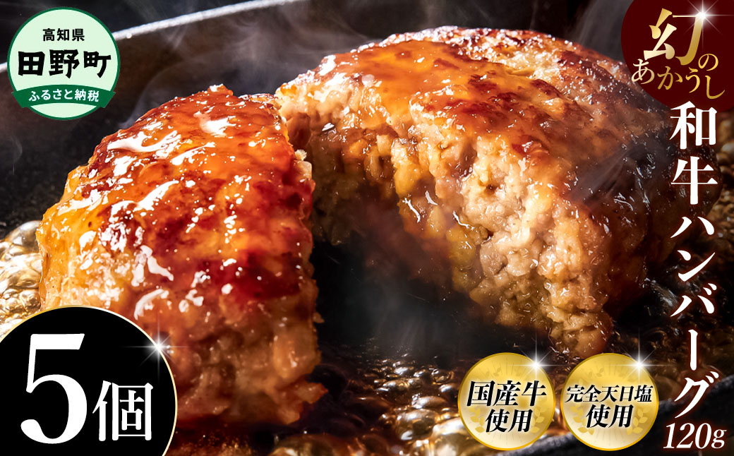 幻のあかうし和牛ハンバーグ 5個入り 1個120g 田野屋青蜂 白鯆 完全天日塩練り込み 肉 お肉 国産牛 土佐あかうし 四万十ポーク おかず 惣菜 おいしい お取り寄せ 冷凍 配送 高知県 田野町
