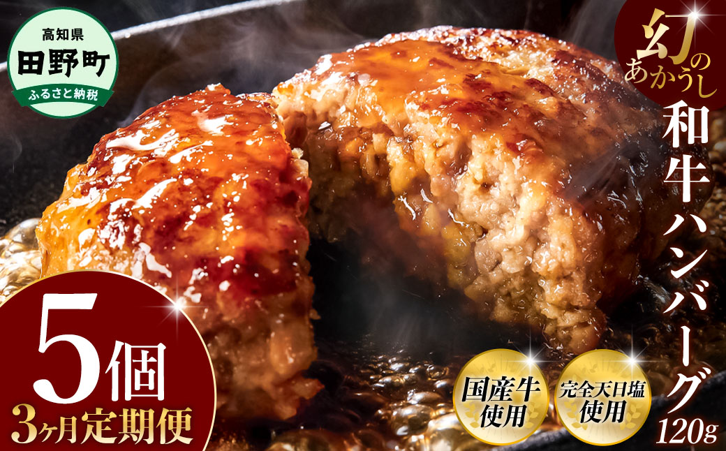 幻のあかうし和牛ハンバーグ 5個入り 3ヶ月定期便 1個120g 田野屋青蜂 白鯆 完全天日塩練り込み 肉 お肉 国産牛 土佐あかうし 四万十ポーク おかず 惣菜 おいしい お取り寄せ 冷凍 配送 高知県 田野町