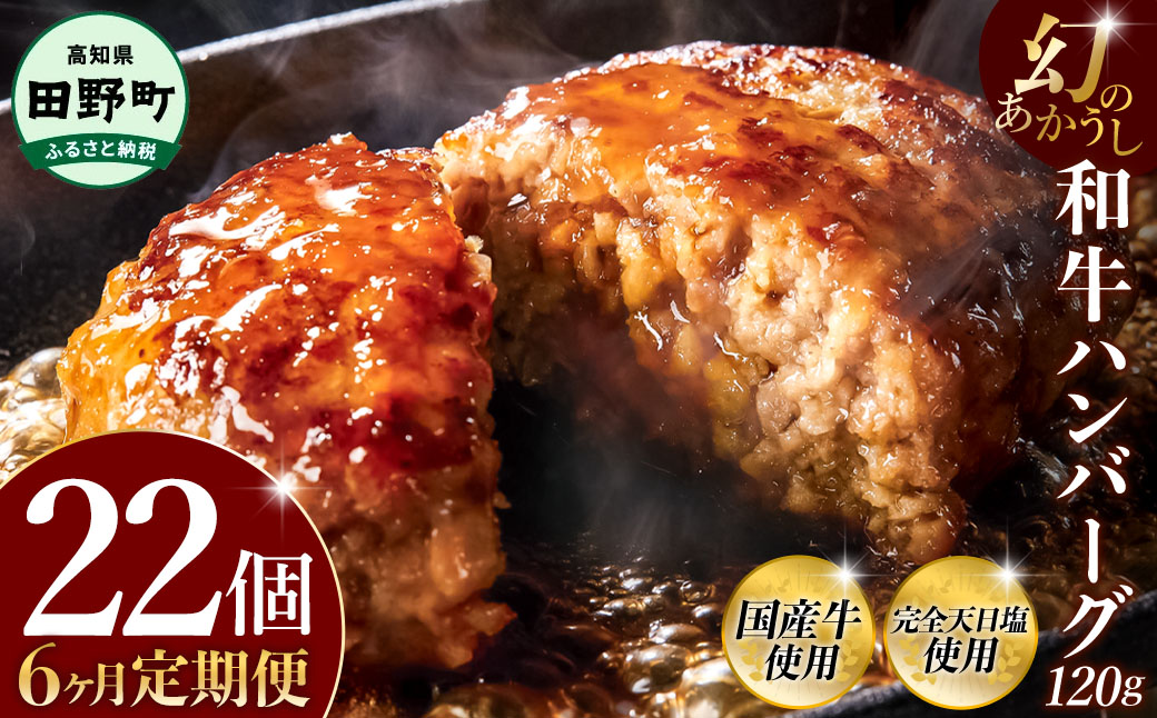 幻のあかうし和牛ハンバーグ 22個入り 6ヶ月定期便 1個120g 田野屋青蜂 白鯆 完全天日塩練り込み 肉 お肉 国産牛 土佐あかうし 四万十ポーク おかず 惣菜 おいしい お取り寄せ 冷凍 配送 高知県 田野町