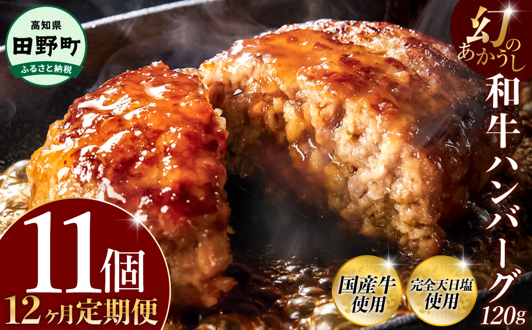 幻のあかうし和牛ハンバーグ 11個入り 12ヶ月定期便 1個120g 田野屋青蜂 白鯆 完全天日塩練り込み 肉 お肉 国産牛 土佐あかうし 四万十ポーク おかず 惣菜 おいしい お取り寄せ 冷凍 配送 高知県 田野町