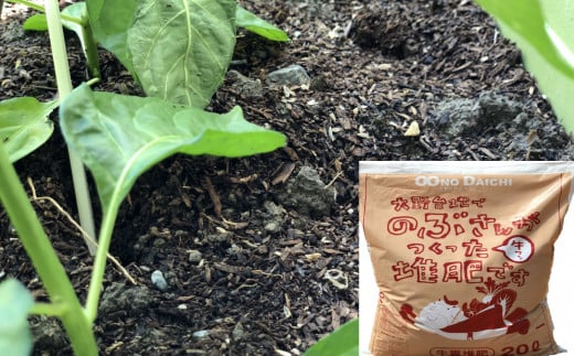 縲仙屁蝗ス荳蟆上&縺ェ縺セ縺。縲代ョ縺カ縺輔s縺後▽縺上▲縺溽央繝輔Φ蝣閧・縲20Lシ育エ6緕擾シ嘉3陲