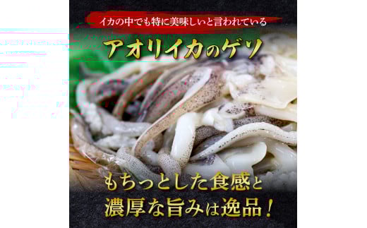 イカの王様★アオリイカのゲソ 2kg アオリイカ ゲソ 500g×4パック 2000g 2キロ イカ いか 烏賊 魚介類 げそ いかげそ 焼き 唐揚げ おつまみ 美味しい 柔らかい