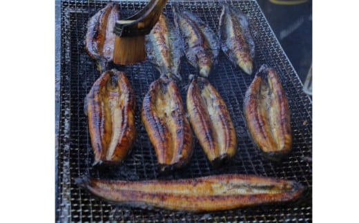 ãååœäžå°ããªãŸã¡ãâªã€ãã·ã³â« â» å·å â» ç¹éžããªãã®è²çŒããïŒå°Ÿ