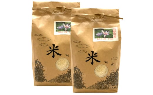 âªæ°ééå®â« ãååœäžå°ããªãŸã¡ã®ãã¡ç±³ã 什å7å¹Žç£ ã ãã¡ç±³ ã ïŒïœïœïŒ 2kg à 2è¢ ïŒ