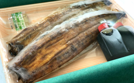 田野町産うなぎの蒲焼き(大）2本 タレ付き 山椒付き うなぎ 鰻 ウナギ 蒲焼き かば焼き 無頭 おいしい 国産 お取り寄せ 冷凍 配送
