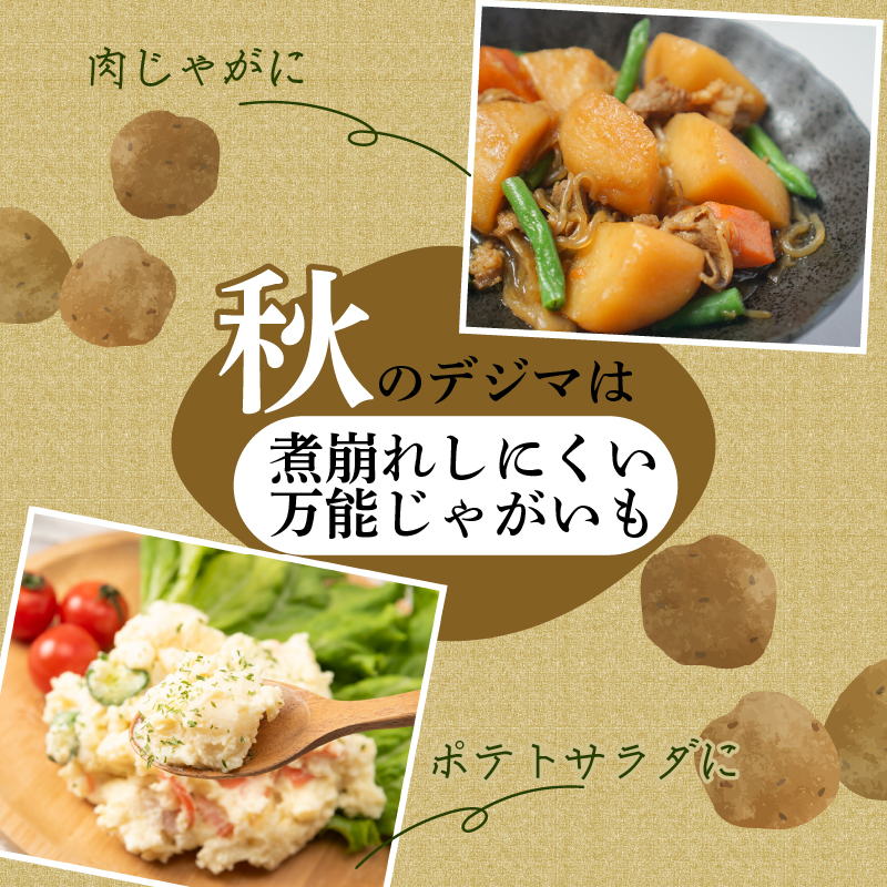 【じゃがいも】 《訳あり》 【先行予約】 春デジマ 2026年5月配送開始 じゃがいも デジマ 10kg 春じゃが 新じゃが じゃが芋 芋 いも ポテト 野菜 やさい 旬 不揃い 傷 ばれいしょ 馬鈴薯 贈答 厳選 農家直送 産地直送 高知県 安田町 YK-0013