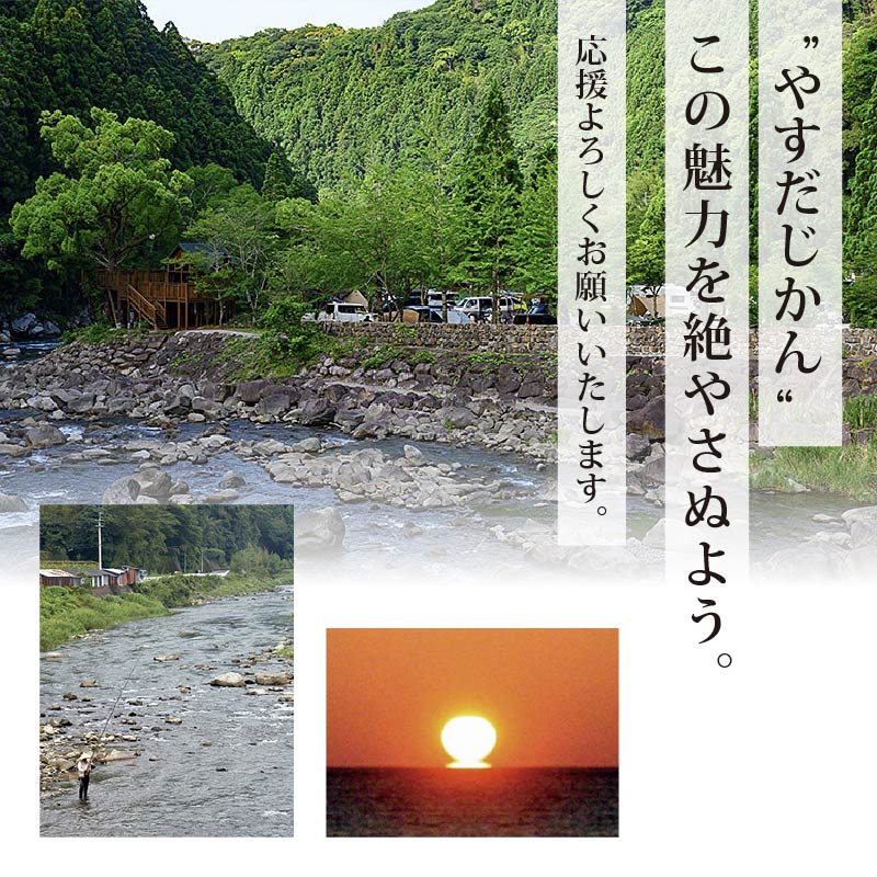 【3月から順次発送】安田町産 「超」 訳あり ナス なす 2kg  新鮮 野菜 茄子 産地直送 季節限定 夏野菜 ふるさと納税茄子  ふるさと納税なす 高知 安田町 TR-0011