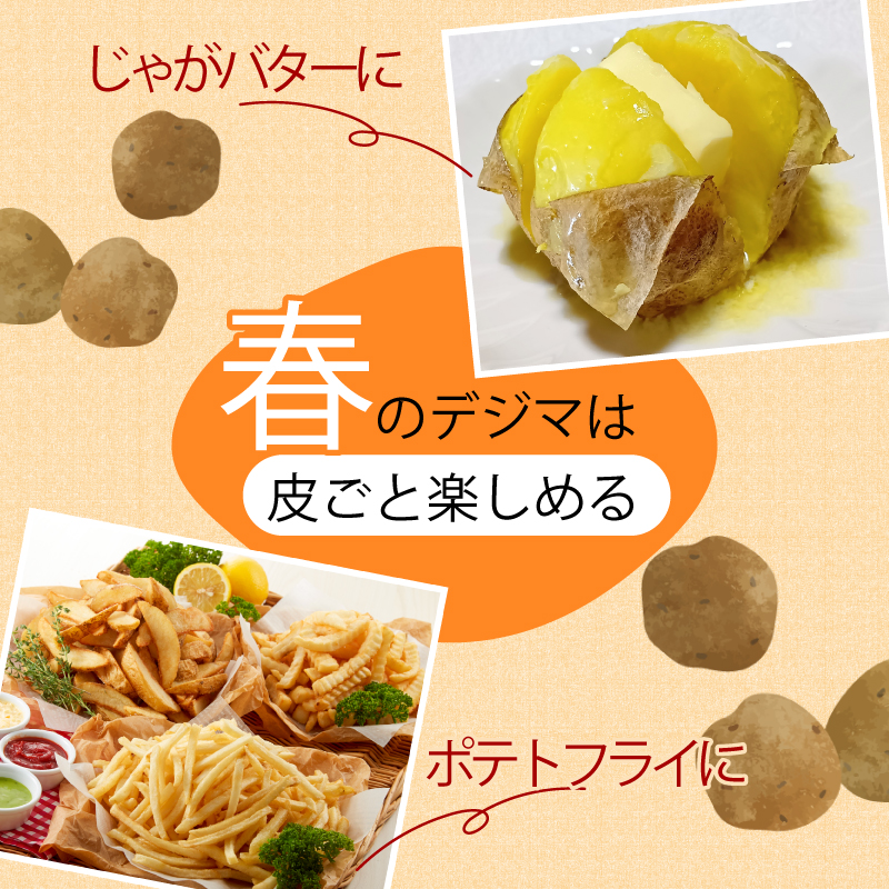 【じゃがいも】 《訳あり》 【先行予約】 春デジマ 2026年5月配送開始 じゃがいも デジマ 10kg 春じゃが 新じゃが じゃが芋 芋 いも ポテト 野菜 やさい 旬 不揃い 傷 ばれいしょ 馬鈴薯 贈答 厳選 農家直送 産地直送 高知県 安田町 YK-0013