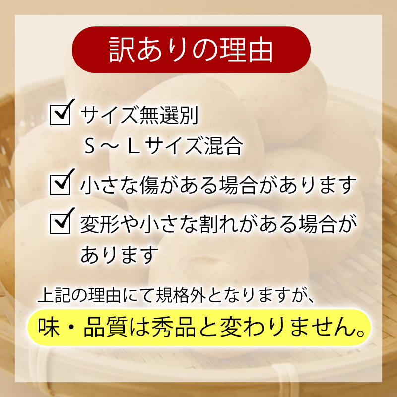 【じゃがいも】 《訳あり》 【先行予約】 春デジマ 2026年5月配送開始 じゃがいも デジマ 10kg 春じゃが 新じゃが じゃが芋 芋 いも ポテト 野菜 やさい 旬 不揃い 傷 ばれいしょ 馬鈴薯 贈答 厳選 農家直送 産地直送 高知県 安田町 YK-0013